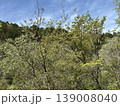 新緑に包まれた山々 139008040