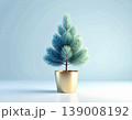 Christmas decoration. Christmas tree in a garden pot on a white background. Christmas mockup. 139008192