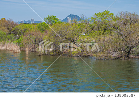 琵琶湖岸風景　草津市 139008387
