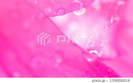 赤いサツキの花と水滴 139008824