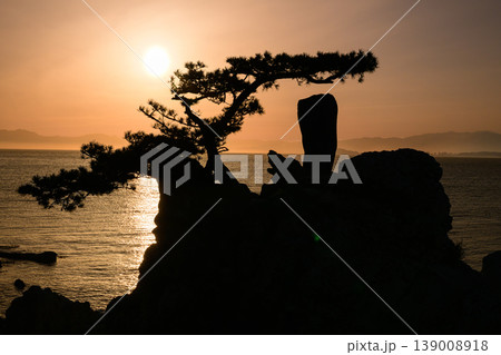 夕陽に染まる葉山の海と森戸神社の松 夕陽に染まる葉山の海と森戸神社の松 139008918