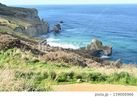 Tunnel Beach 139008966
