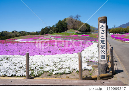 みさと芝桜公園 みさと芝桜公園 139009247