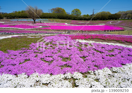 みさと芝桜公園 みさと芝桜公園 139009250