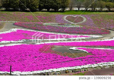 みさと芝桜公園 みさと芝桜公園 139009256