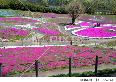 みさと芝桜公園 みさと芝桜公園 139009258