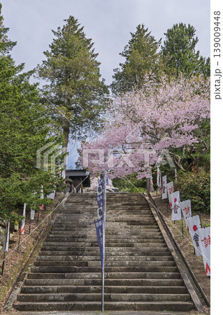 春の土津神社 拝殿に登る階段と満開の桜 福島県猪苗代町 春の土津神社 拝殿に登る階段と満開の桜 福島県猪苗代町 139009448