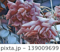 A bunch of red roses. Two roses bowing their buds. Fading beauty. Art style. Red roses 139009699