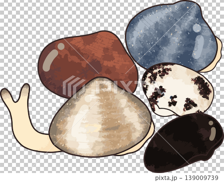 Clam digging illustration material: Clams, cockles, and various other shellfish, colorful, hand-drawn style, white background Clam digging illustration material: Clams, cockles, and various other shellfish, colorful, hand-drawn style, white background 139009739