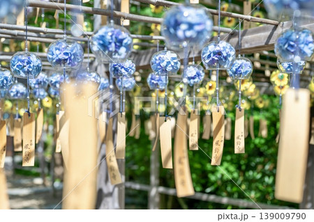 紫陽花と向日葵が入った風鈴が揺れる夏の和風風景 紫陽花と向日葵が入った風鈴が揺れる夏の和風風景 139009790