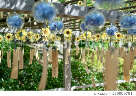 紫陽花と向日葵が入った風鈴が揺れる夏の和風風景 139009791