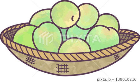 竹ざるに盛られた青梅イラスト素材　山盛り　水彩風　手書き風　梅しごと・初夏　白背景 139010216