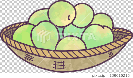 竹ざるに盛られた青梅イラスト素材　山盛り　水彩風　手書き風　梅しごと・初夏　白背景 139010216