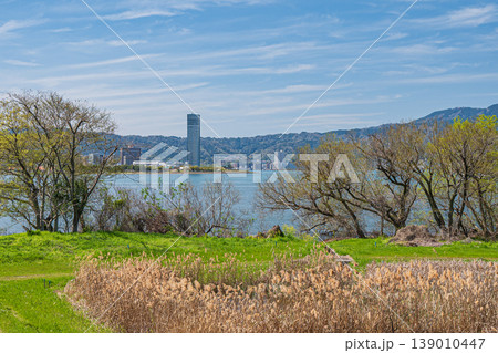 琵琶湖畔の湿地帯 草津市 琵琶湖畔の湿地帯 草津市 139010447