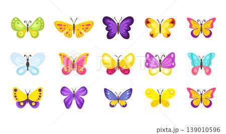 Colorful Butterfly Set Cute Collection Colorful Butterfly Set Cute Collection 139010596