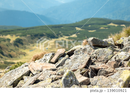 Pile of stones on the foreground, mountains in haze on the background. View on the rocky slope of the mountain, bright sunny day in the Carpathians 139010921