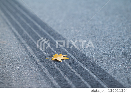 Yellow maple leaf on asphalt and the tire track after emergency braking, close up. Symbol of often car accidents in autumn, because of bad weather and visibility on roads Yellow maple leaf on asphalt and the tire track after emergency braking, close up. Symbol of often car accidents in autumn, because of bad weather and visibility on roads 139011394