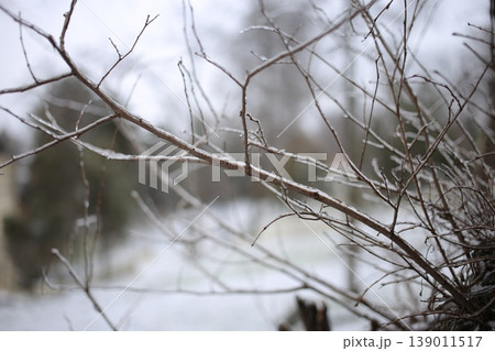A pattern of branches covered in ice. 139011517