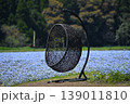 やすらぐ美しいネモフィラ畑の広場 139011810