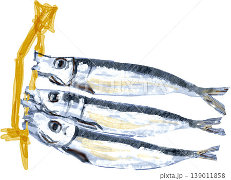 めざし イワシの丸干しのイラスト 139011858