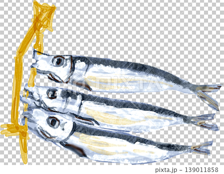 めざし イワシの丸干しのイラスト 139011858