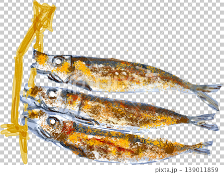 めざし イワシの丸干しのイラスト 139011859
