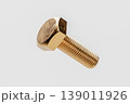 Close-up of a Gold Bolt on a White Background 139011926