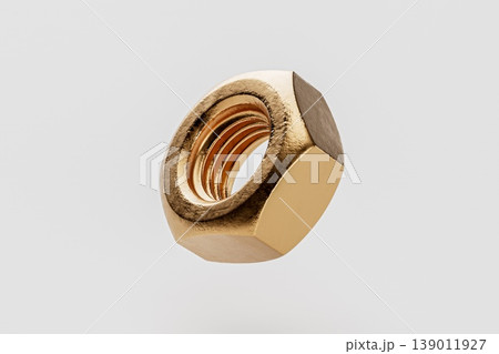 Close-Up of a Golden Nut on a Gray Background Close-Up of a Golden Nut on a Gray Background 139011927