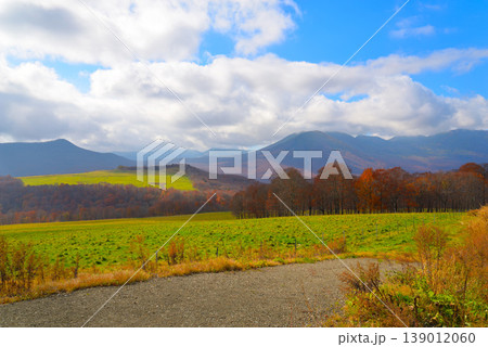 晩秋の八甲田山系の眺望(青森県十和田市) 晩秋の八甲田山系の眺望(青森県十和田市) 139012060
