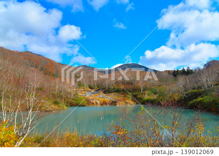 酸ヶ湯の地獄沼(青森県十和田市) 酸ヶ湯の地獄沼(青森県十和田市) 139012069
