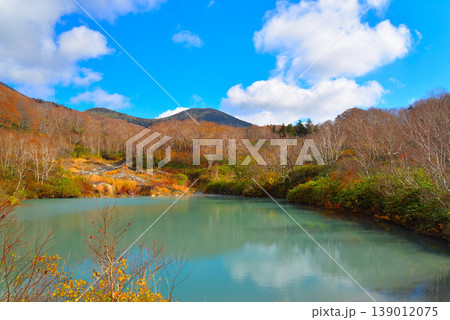 酸ヶ湯の地獄沼(青森県十和田市) 酸ヶ湯の地獄沼(青森県十和田市) 139012075