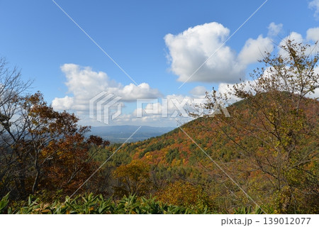晩秋の八甲田山系の眺望(青森県十和田市) 晩秋の八甲田山系の眺望(青森県十和田市) 139012077