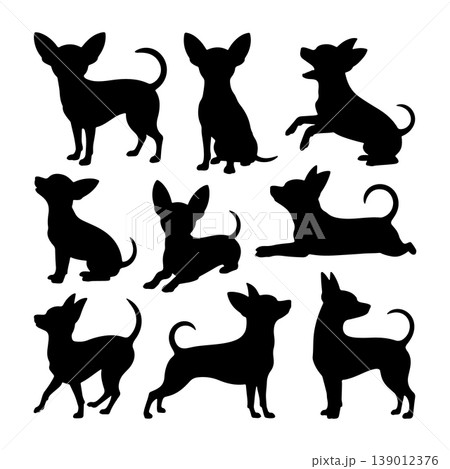 Multiple silhouettes of playful chihuahuas in various poses on a white background Multiple silhouettes of playful chihuahuas in various poses on a white background 139012376