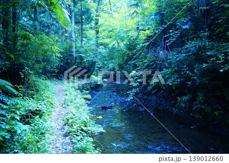 カラー 川 水 石 岩(2026年4月登録) カラー 川 水 石 岩(2026年4月登録) 139012660