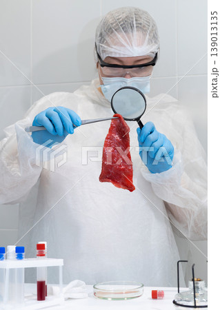 Woman scientist examining raw lab-grown meat sample with magnifying glass. Artificial protein cultivation in biotechnology research lab. Sustainable food innovation and future agriculture concept. 139013135