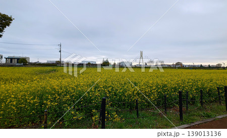 菜の花畑のある風景 菜の花畑のある風景 139013136