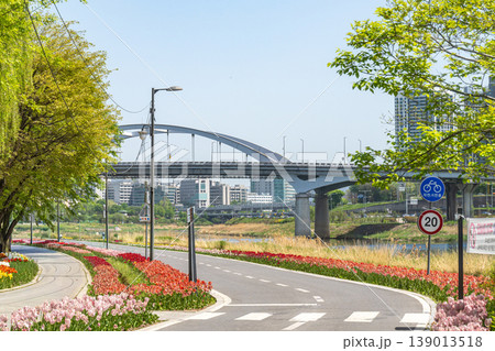 Seoul, South Korea - Apr. 19, 2026 : Beautiful red and yellow tulips in full bloom at Yongbi-swimteo garden, Seoul. Seoul, South Korea - Apr. 19, 2026 : Beautiful red and yellow tulips in full bloom at Yongbi-swimteo garden, Seoul. 139013518