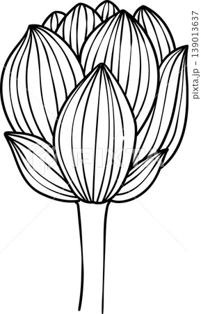 Hand-drawn lotus flowers , black and white vector illustration in linear style, isolated on white background. Hand-drawn lotus flowers , black and white vector illustration in linear style, isolated on white background. 139013637