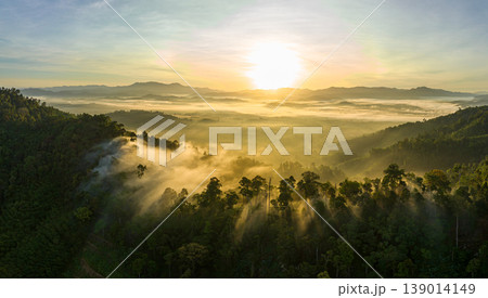 aerial view of An early morning misty sunrise in Forest Valley aerial view of An early morning misty sunrise in Forest Valley 139014149