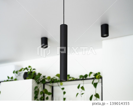 Modern minimalist style black pendant light hanging from a white ceiling, blending seamlessly with contemporary interior design, with plants in background 139014355
