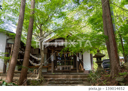 新緑に包まれた玉野御嶽神社の本殿風景 139014652