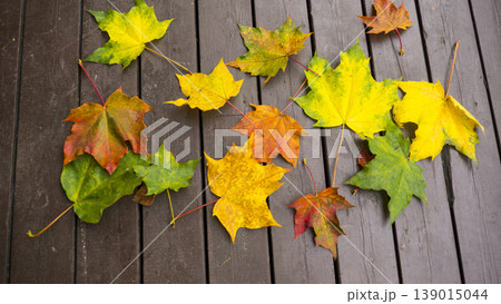 Autumn leaves Autumn leaves 139015044