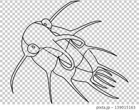 A pop art illustration of Dicranurus monstrosus (trilobite) A pop art illustration of Dicranurus monstrosus (trilobite) 139015163