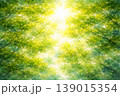 新緑をイメージした抽象水彩背景　やさしいグリーンと光の余白デザイン 139015354