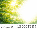 新緑をイメージした抽象水彩背景　やさしいグリーンと光の余白デザイン 139015355
