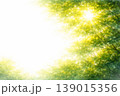 新緑をイメージした抽象水彩背景　やさしいグリーンと光の余白デザイン 139015356