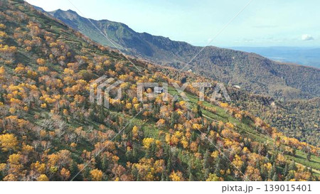 【空撮】見渡す限りの秋色グラデーション!黒岳の山肌を彩る紅葉の絨毯と北海道の大自然 【空撮】見渡す限りの秋色グラデーション!黒岳の山肌を彩る紅葉の絨毯と北海道の大自然 139015401