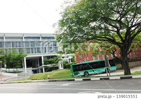 Beautiful Singapore Surroundings 139015551