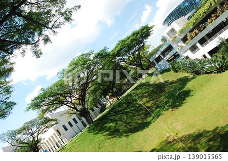 Beautiful Singapore Surroundings 139015565