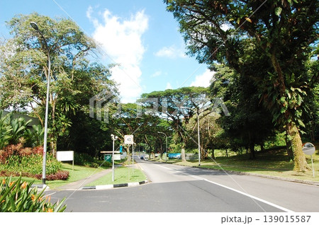 Beautiful Singapore Surroundings Beautiful Singapore Surroundings 139015587